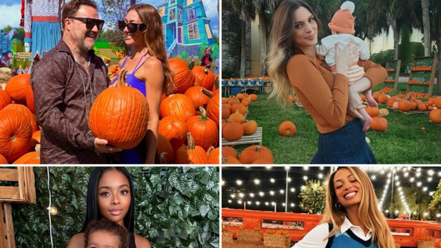 Fotos de abóbora estrela 2025 ... É hora de Gourd Fotos de abóbora de celebridades 2025