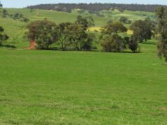 Fuja do cotidiano com a bela propriedade Bindoon no sopé Fuja do cotidiano com a bela propriedade Bindoon no sopé