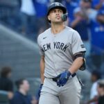 O New York Yankees designou o rebatedor Giancarlo Stanton reage depois de atacar.
