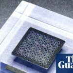 Google elogia a inovação à medida que o sistema de computador quântico excede a capacidade dos supercomputadores