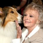 Gratidão: Sólida e aconchegante, June Lockhart era uma versão da televisão sendo mãe