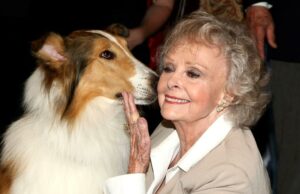 Gratidão: Sólida e aconchegante, June Lockhart era uma versão da televisão sendo mãe Gratidão: Sólida e aconchegante, June Lockhart era uma versão da televisão sendo mãe