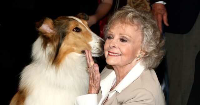 Gratidão: Sólida e aconchegante, June Lockhart era uma versão da Gratidão: Sólida e aconchegante, June Lockhart era uma versão da televisão sendo mãe
