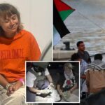 Greta Thunberg para ser deportado de Israel depois de ser detido de flotilha bloqueada com ligações de Gaza