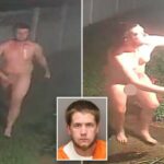 Homem nu da Flórida aterroriza a vizinhança – e os moradores locais dizem que ele teve sorte de não ter levado um tiro