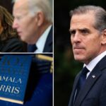 Hunter Biden lamenta o livro ‘doloroso’ de Kamala Harris e sugere que Joe a escolheu porque ela é negra