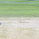 IND vs WI: ótima faixa de rebatidas nas cartas na Arun Jaitley Arena