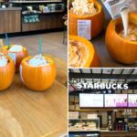 Três cafés Starbucks com chantilly e canudos verdes em mini abóboras sobre uma mesa de madeira.