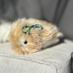 Investi um mês vivendo com um animal de IA de US$ 430, o Casio Moflin