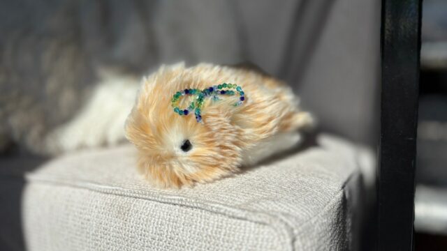Investi um mês vivendo com um animal de IA de US$ 430, o Casio Moflin 


