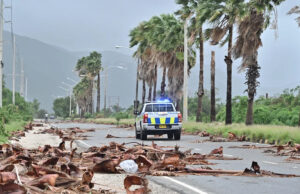 Jamaicanos verificam após tufão causar danos, inundações e cortes de energia Jamaicanos verificam após tufão causar danos, inundações e cortes de energia