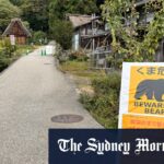 Após uma série de mortes, os militares do Japão foram mobilizados para ajudar os caçadores a controlar a população de ursos.