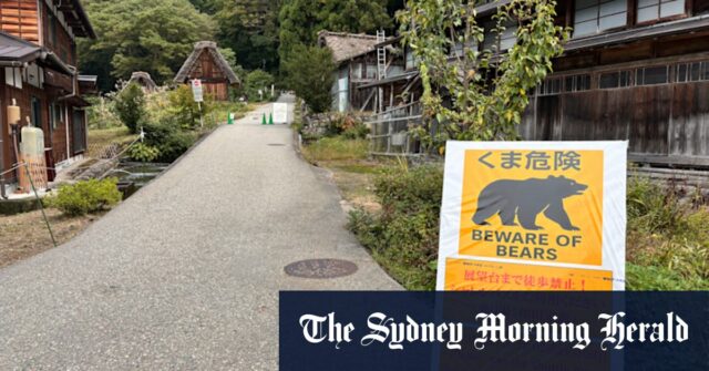 Japão convoca exército para enfrentar ursos mortais Após uma série de mortes, os militares do Japão foram mobilizados para ajudar os caçadores a controlar a população de ursos.