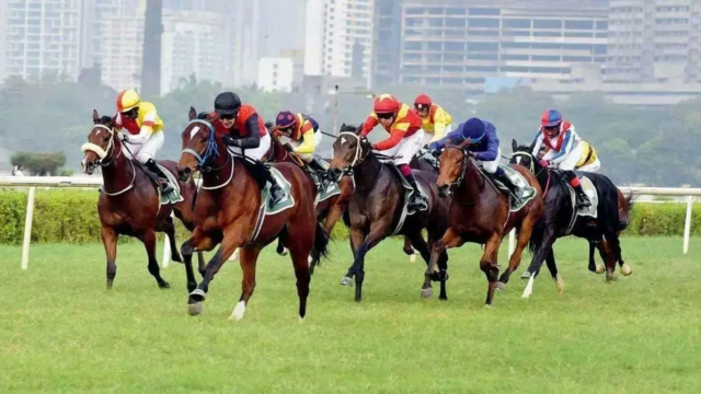Jockey Sandesh em um rolo 

