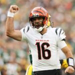 cincinnati bengals quarterback joe burrow