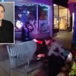 Juíza bêbada é flagrada com as calças abaixadas fazendo xixi em público – enquanto os policiais afastam o marido interferente