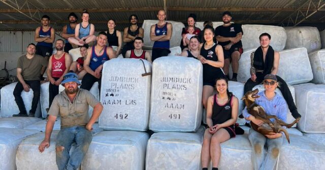 Jumbuck Plains: 'Ovelhas ainda dominam elas sempre terão um lugar aqui'

