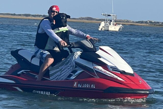 Labrador preto vivendo o desejo WaveRunner ganha o prêmio de Black lab riding wave runner