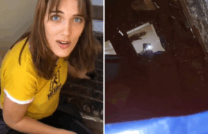 Lady ganha nova residência e descobre piscina escondida sob o piso Lady ganha nova residência e descobre piscina escondida sob o piso