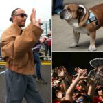 Lewis Hamilton chora por seu amado cachorro antes do Dia dos Mortos no México