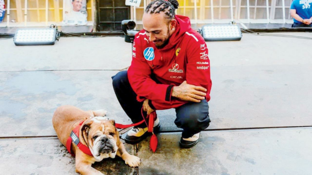 Lewis Hamilton lamenta a morte de Roscoe, seu animal canino 

