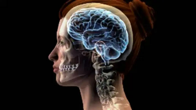 Mais de 1 em cada 3 pessoas em todo o mundo enfrenta problemas mentais: Record 

