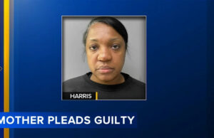 Mamãe se declara culpada de assassinato depois que criança falece por desrespeito prolongado: DA Yahoo news home