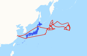Mapa revela que China está enviando navios para aliados dos Estados Unidos Mapa revela que China está enviando navios para aliados dos Estados Unidos