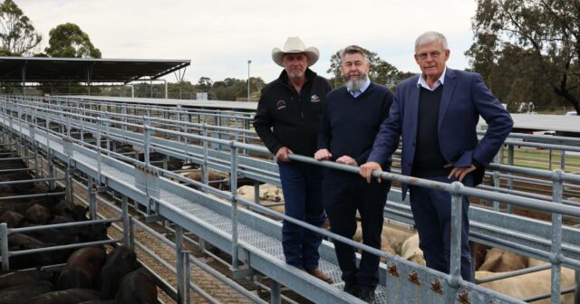 Marco importante para a instalação de gado de última geração Marco importante para a instalação de gado de última geração de Mount Barker