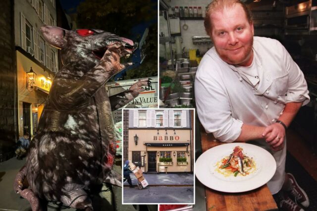 Mascote de 'Scabby the Rat' cortado fora da reabertura do icônico restaurante de Nova York Babbo - provocando invasão policial


