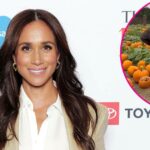 Meghan Markle usa roupa 1600 no passeio familiar de abóbora 2