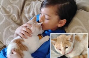 Menino do Arizona, de 9 anos, faz um grande sacrifício para salvar o gatinho que estava sendo jogado por crianças mais velhas ‘como uma bola de futebol’ Zayin Berry, 9 anos, interveio para salvar um gatinho que estava sendo jogado por um grupo de crianças mais velhas “como se fosse uma bola de futebol”.