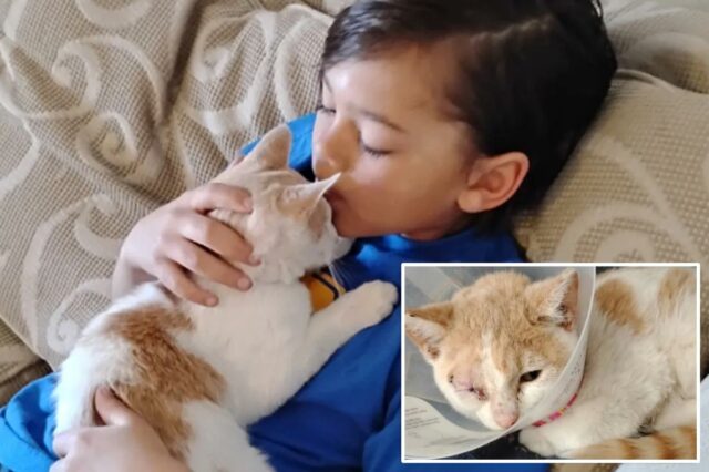 Zayin Berry, 9 anos, interveio para salvar um gatinho que estava sendo jogado por um grupo de crianças mais velhas “como se fosse uma bola de futebol”.