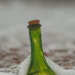 Mensagem em uma garrafa: carta das tropas rumo à Primeira Guerra Mundial chega em casa após 109 anos