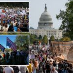 Milhares inundam as ruas para protestos 'No Kings' em Nova York, Chicago, Washington DC