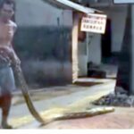 Moradores do leste de Jacarta repelem motoristas pelas calçadas usando pítons