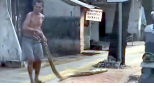 Moradores do leste de Jacarta repelem motoristas pelas calçadas usando pítons 

