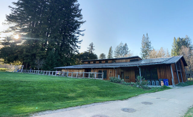 Morcego raivoso confirmado no centro da cidade de Portola Valley Morcego raivoso confirmado no centro da cidade de Portola Valley