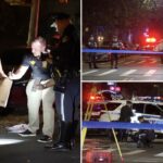 Motorista entra na avó na Granny Crossing Street em Nova York, a deixa para morrer: policiais