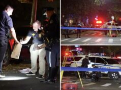 Motorista entra na avó na Granny Crossing Street em Nova York, a deixa para morrer: policiais Motorista entra na avó na Granny Crossing Street em Nova York, a deixa para morrer: policiais