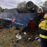 Motorista lutando pela vida, dois cavalos mortos após acidente de caminhão