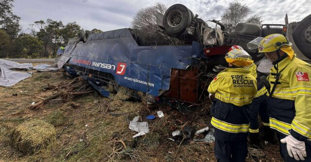 Motorista lutando pela vida, dois cavalos mortos após acidente de caminhão

