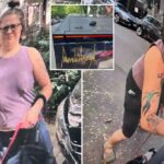 Mulher de Chicago Smamando cocô de cachorro no cybertruck com tema de Trump pegou na câmera