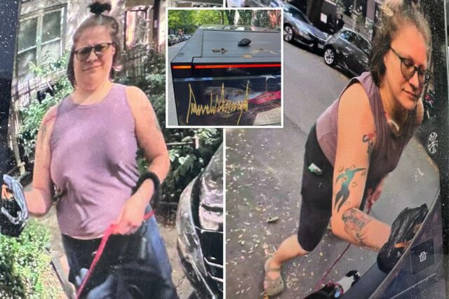 Mulher de Chicago Smamando cocô de cachorro no cybertruck com tema de Trump pegou na câmera

