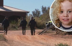 Nenhuma evidência encontrada enquanto ADF se junta a nova busca pelo desaparecimento de Gus Desaparecido Gus, de quatro anos