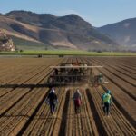 No Dia Nacional do Agricultor, os agricultores podem informar o bom amigo do oponente?|Ponto de vista