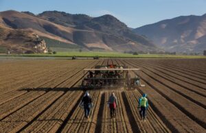 No Dia Nacional do Agricultor, os agricultores podem informar o bom amigo do oponente?|Ponto de vista No Dia Nacional do Agricultor, os agricultores podem informar o bom amigo do oponente?|Ponto de vista