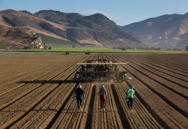 No Dia Nacional do Agricultor, os agricultores podem informar o bom amigo do oponente?|Ponto de vista 

