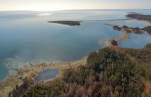 Nova Escócia concede à Coroa arrendamento de terras para possível refúgio de baleias Nova Escócia concede à Coroa arrendamento de terras para possível refúgio de baleias