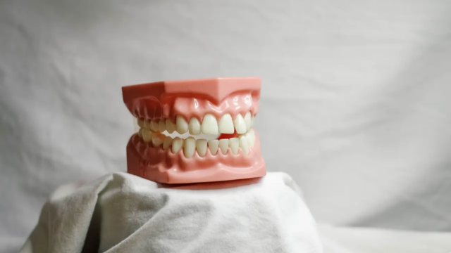 Novas pesquisas de células -tronco descobrem o sistema para regendo dentes derramados 

